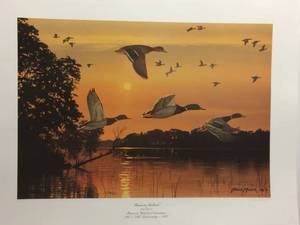 Minnesota Mallards by Bruce Miller, Signed and Numbered Print Size With Border 28x21.5