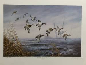 Out Of The Fog Canvasbacks by Rhynard Klingbeil, Signed and Numbered Print Size With Border 17x22