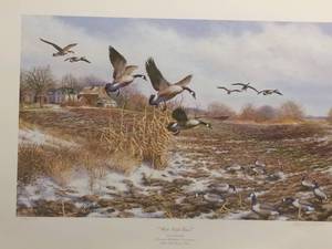 Rice Lake Geese by Dick Plasschert, Signed and Numbered Print Size With Border 30.5x21.5