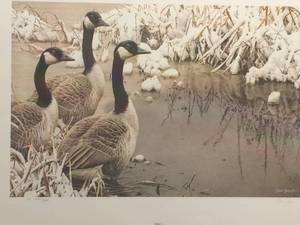 Sojourn by Branta Canadensis, Signed and Numbered COLLECTORS EDITION Print Size With Border 27.5x20.5