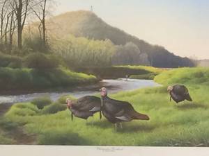 Whitewater Residents by Thomas Moen, Signed and Numbered Print Size With Border 25x18.5