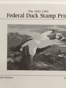 Federal Duck Stamp Print COLLECTORS EDITION by Joeseph Hautman, Signed and Numbered Print Size With Border 12x14