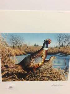 Pheasant Habitat Stamp Print by David Chapman, Signed and Numbered Print Size With Border 12x14