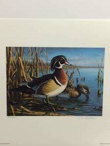 1988 Delaware Duck Stamp Print by James Hautman, Signed and Numbered Print Size With Border 12x14