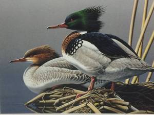 The Federal 1994-1995 by Neal R. Anderson, COLLECTORS EDITION, Signed and Numbered Print Size With Border 12x14