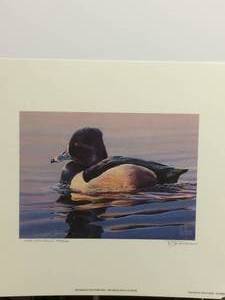 1994 Minnesota Duck Stamp Print by Ed Durose, ARTIST PROOF, Signed and Numbered Print Size With Border 12x14