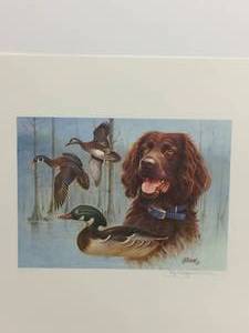 1993-1994 Waterfowl Conservation Stamp by Killen, Signed Print Size With Border 12x15 Includes SIGNED STAMP