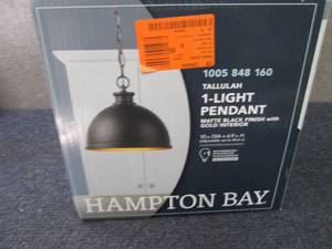 lot 49 image: Hampton Bay Talullah 1-Light Matte ...