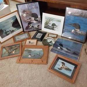 Large lot of Loon themd Pictures an...