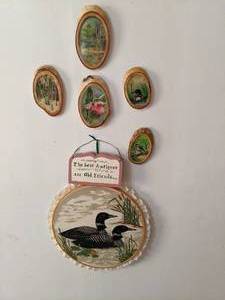 Loon Themed Wall decor...