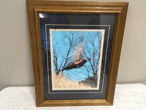 lot 919 image: Pheasant Picture