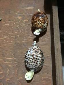 2 seashell turtles