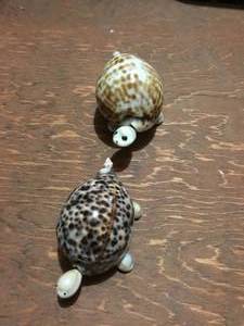 2 seashell turtles