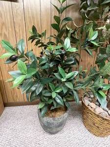 lot 81 image: 2 Faux Plants