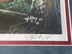 lot 97 image: 1995 Bald Eagle Framed Art Print by Kelley