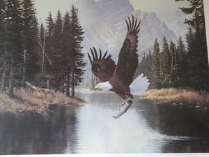 lot 10 image: Mountain Majesty Framed Print by Derk Hansen