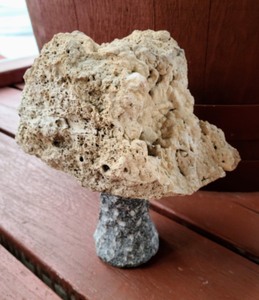 lot 67 image: Cement Mushroom Figurines