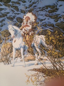 lot 72 image: Eagle Heart Unframed Print By Bev Doolittle