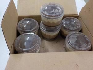lot 347 image: Box of 12 Cups Coppa Tiramisu Froze...