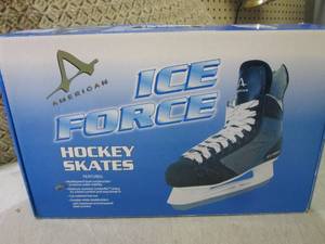 lot 115 image: (EW4) American Ice Force Hockey Ska...