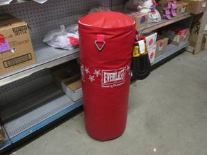 lot 157 image: (EC1) Everlast Punching Bag with Gl...