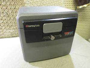 lot 197 image: (F-1) Sentry Safe Fire & Water Proo...
