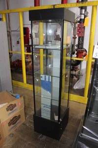 lot 53 image: Lighted Glass Display Case 4-tie