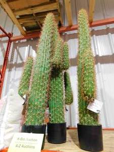 lot 41 image: (4) VINTAGE HOME  58 in. H Mexican cactus, Indooroutdoor