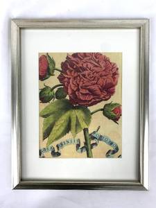 lot 58 image: Set of Three Framed Prints - Latin Flora Images