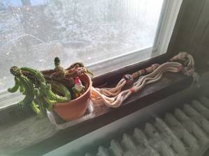 lot 64 image: Potted Cactus with Gnome Figurine and Macrame Plant Hanger