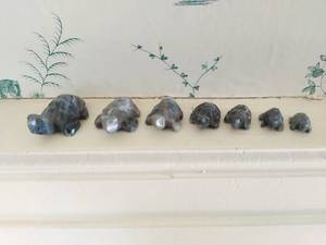 lot 108 image: Collection of Stone Turtle Figurines