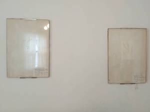lot 112 image: Pair of Marine Algae of New Jersey Wall Art