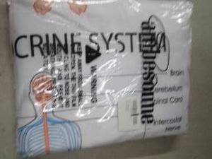 lot 29 image: ambesonne human anatomy duvet twin ...
