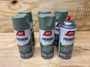 lot 84 image: ACE Case of- Premium Paint  Primer Gloss Enamel (6 cans)