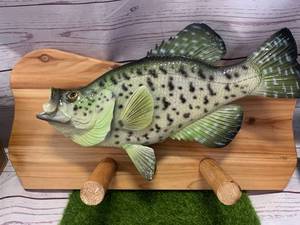 New Crappie Coat Hook Approximately 19� Long