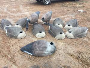 lot 121 image: Goose Decoys
