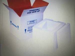 Case of 4 Insulated Foam Shipping K...