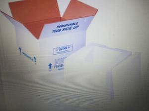 Case of 4 Insulated Foam Shipping K...