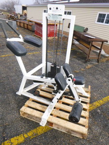 lot 123 image: Flex Fitness Systems Hamflerox Weight Machine