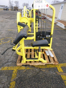lot 126 image: Strive Arm Curl Weight Machine