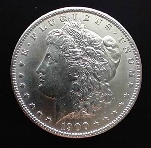 1900 Morgan Dollar