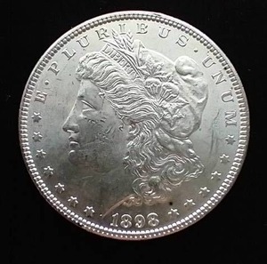 1898 Morgan Dollar