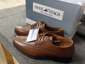 Deer Stags 902 Collection size 9.5m...
