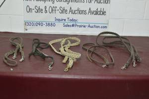 lot 19A image: Horse Leads