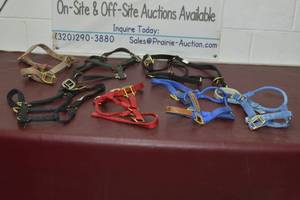 lot 8 image: Various size nylon horse halters