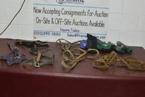 lot 9 image: Various size horse halters and leg wraps