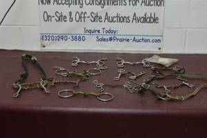lot 11 image: Large assortment of horse bits