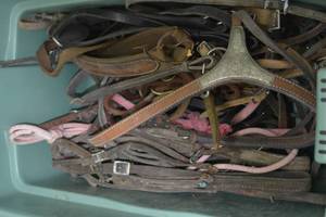 lot 15 image: Large assortment of horse tack