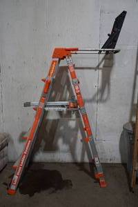lot 88 image: ladder