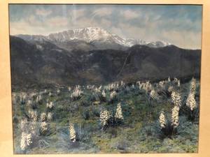 lot 19 image: Mountain Landscape with Field of Flowers